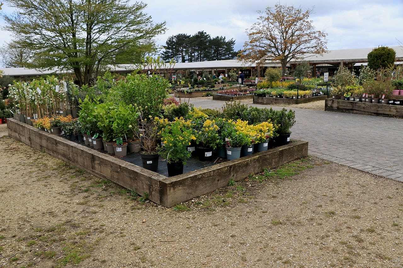 Wide view of a plant nursery with diverse greenery in pots under cloudy sky.