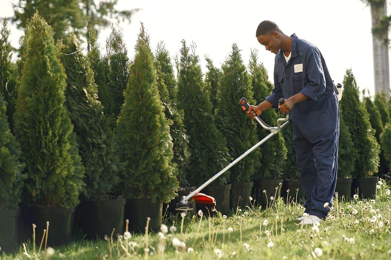Man using grass cutter to trim trees in a sunny outdoor garden.